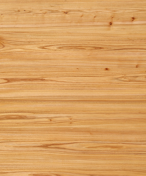 Hi Res. - Red ELM Crown