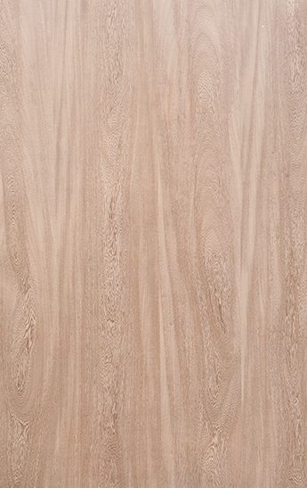 Dyed - BASALTINO STEEL GREY VENEER