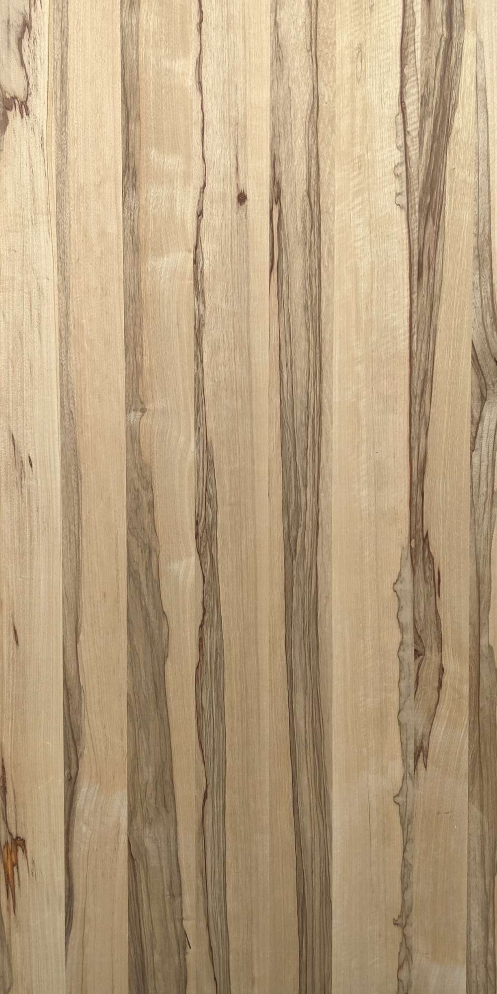 Elite - Black Limba Veneer