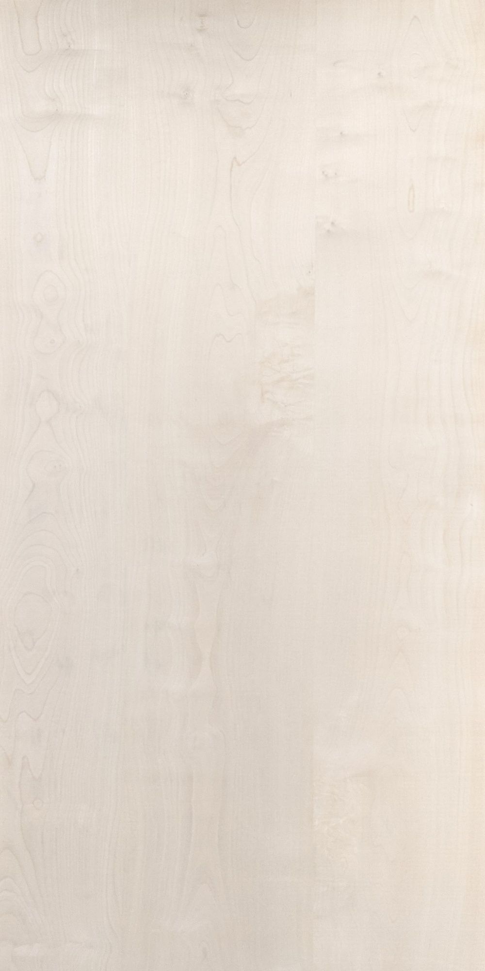 Elite - European Sycamore Veneer