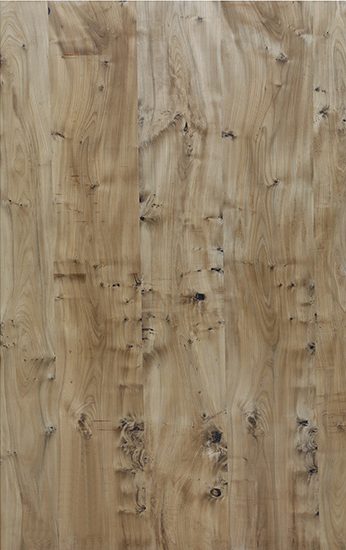 Metallo - Metallo Elm Veneer