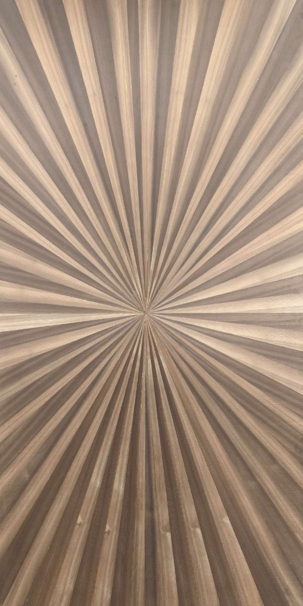 Larch Sun flair Veneer