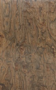 MYSTIC ELM SWIRL VENEER