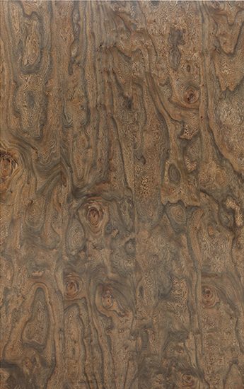 MYSTIC ELM SWIRL VENEER