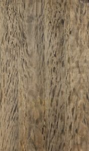 MYSTIC NERO VENEER