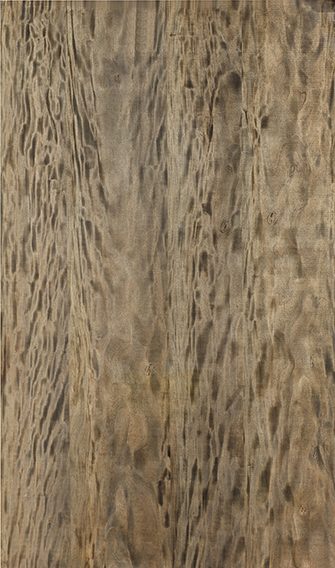 MYSTIC NERO VENEER