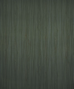 VA 520