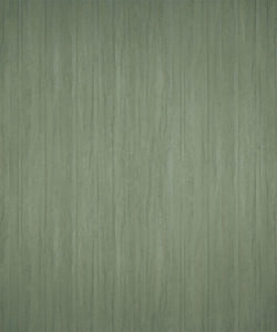 VA 545
