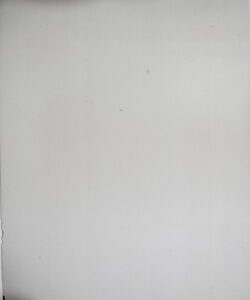 VF 5041