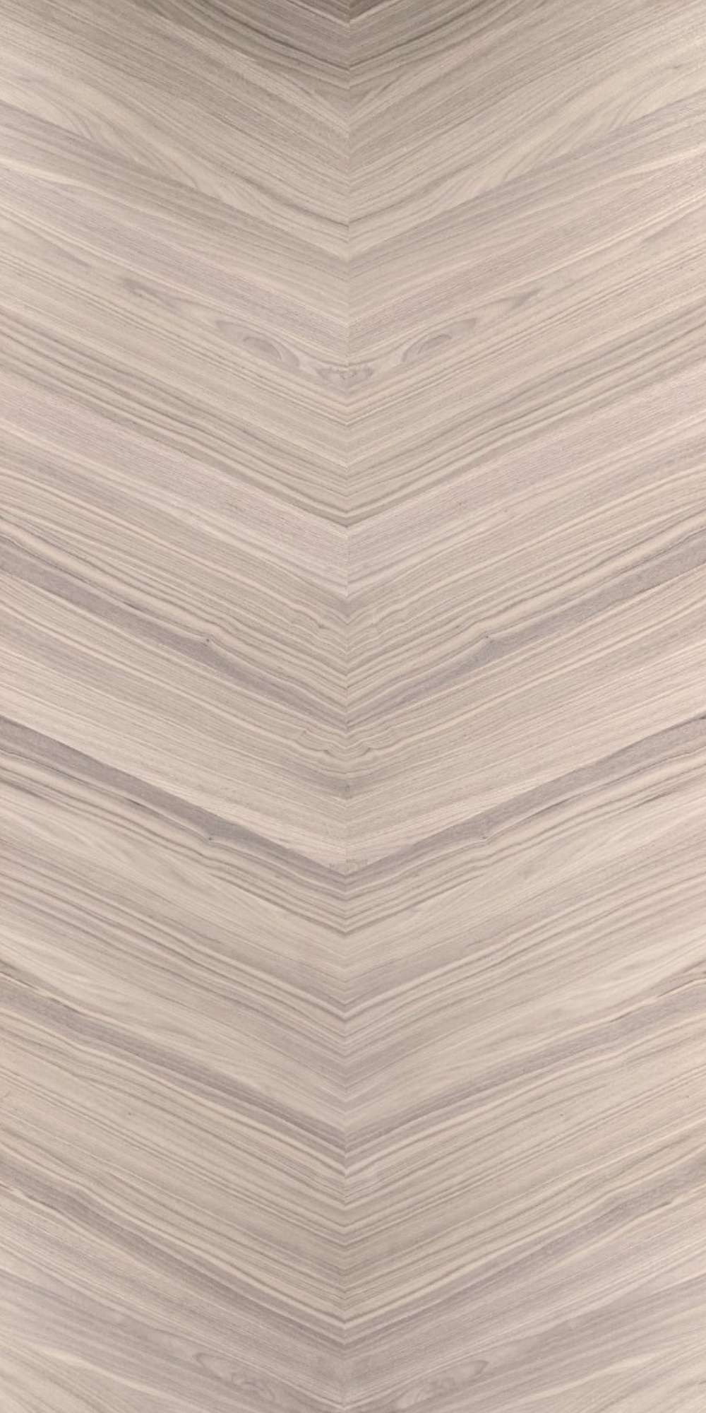 Walnut Fusion Veneer