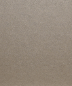 LC-509 (Casa Panel)