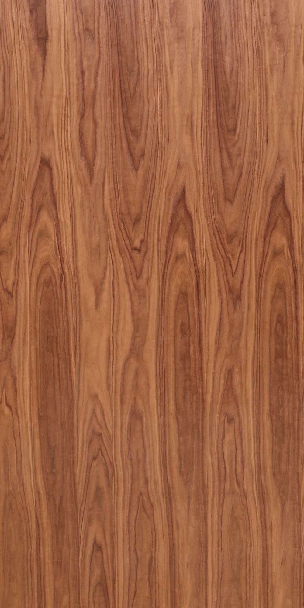 Elite - American Walnut Veneer