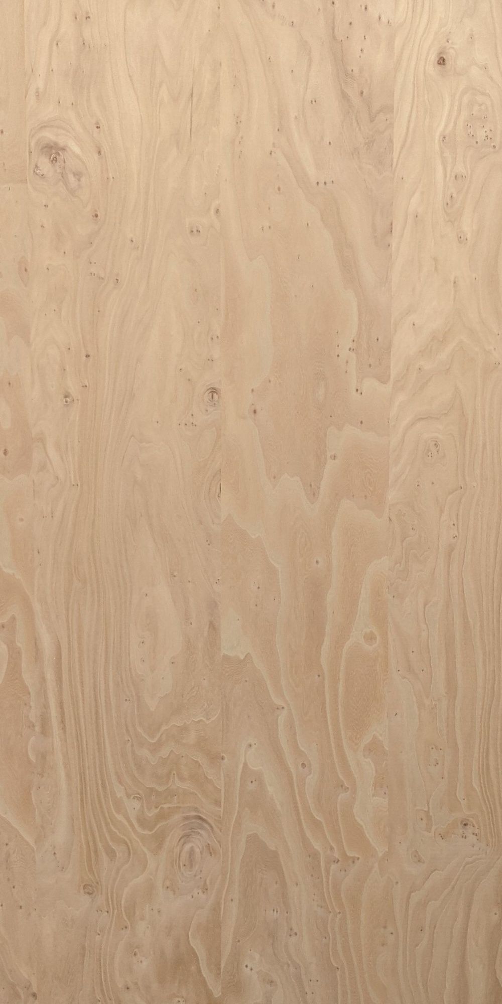 Elite - Elm Swirl Veneer