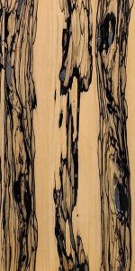 Royal White Ebony Veneer