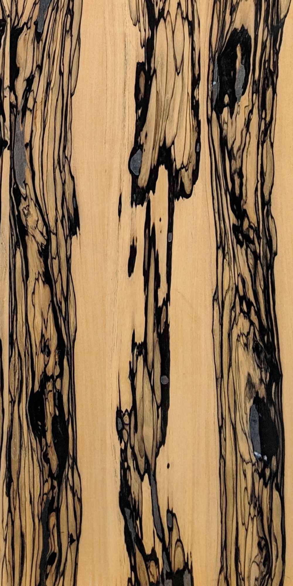 Elite - Royal White Ebony Veneer