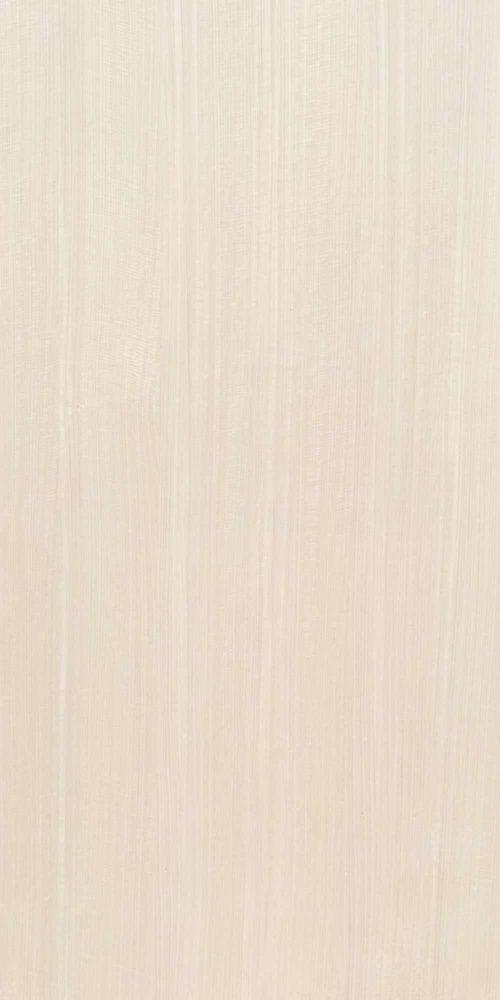 AMORINO ROYAL IVORY VENEER