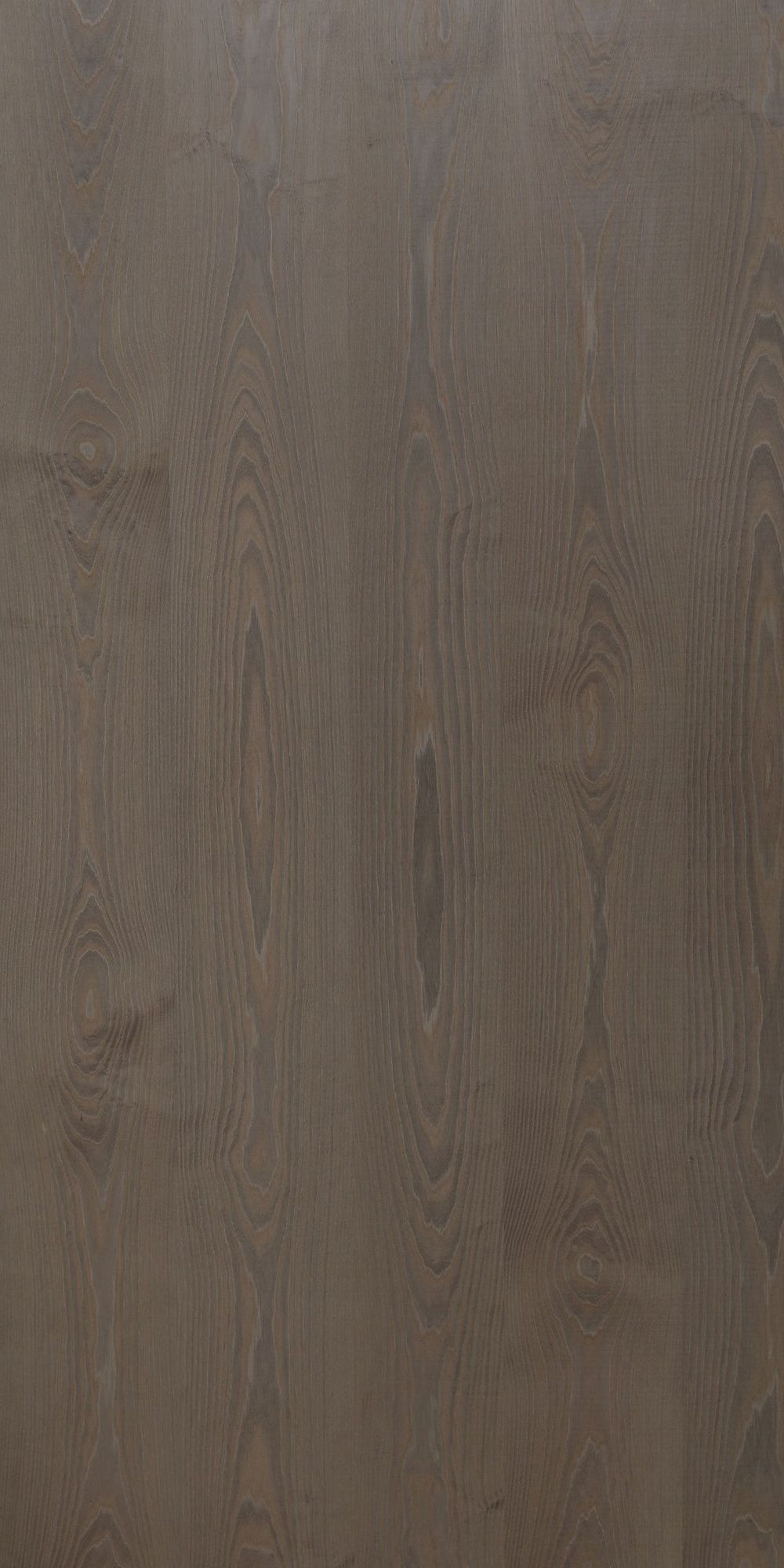 ASH SILVER VENEER