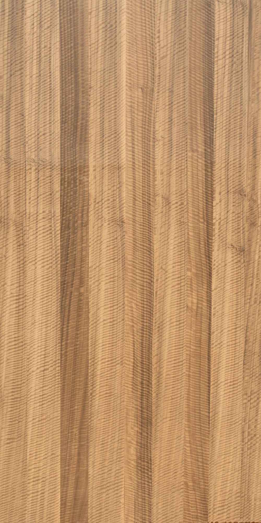 FIDDLEBACK EURIGATO VENEER