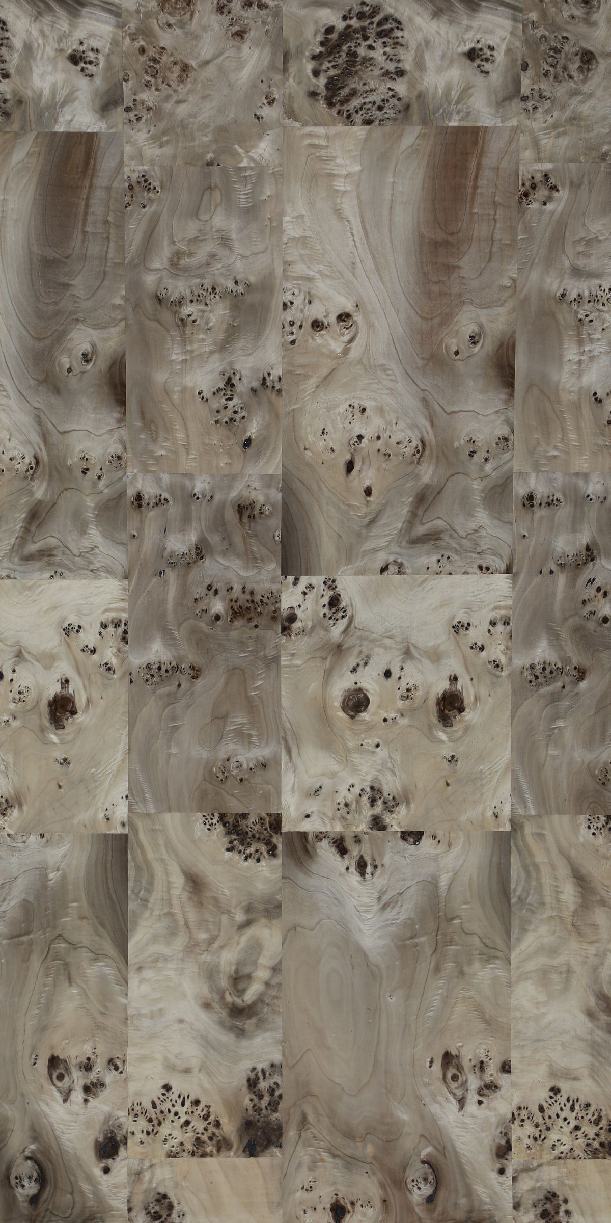 Metallo - Metallo Mappa Veneer