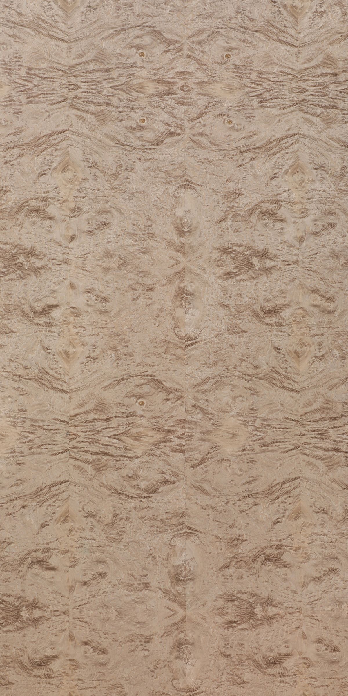 ZERMATT ICE BURL VENEER