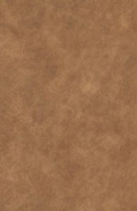 V-40052 (Show Stoppers Laminate)