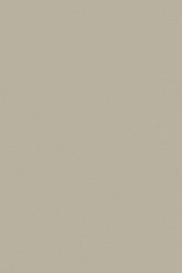 V-3009-ZM (Solids Laminate)